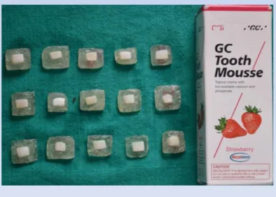 figure 9b CCP-ACP  