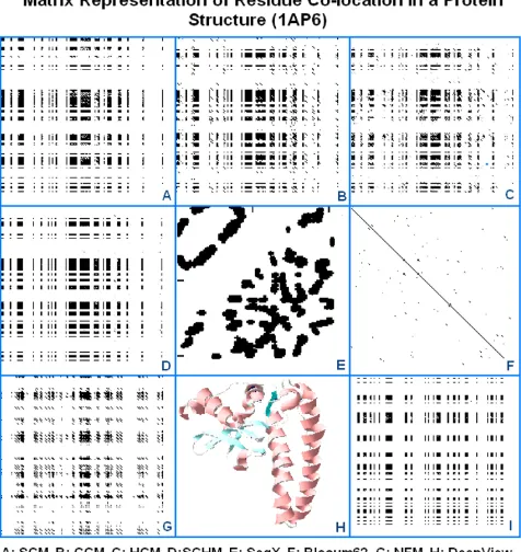 Figure 11Matrix representation of residue co-locations in a protein structure (1AP6) (modified from [58])Matrix representation of residue co-locations in a protein structure (1AP6) (modified from [58])