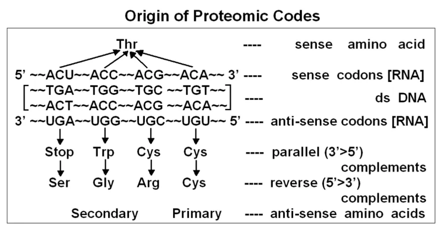 Figure 3Origin of the Proteomic Code