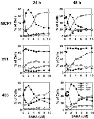 Fig. 4.Dose-dependent effect of SAHA on cellcycle progression in human breast cancer cells.MCF7, MDA-MB-231, and MDA-MB-435 cellswere treated with suberoylanilide hydroxamic acid(SAHA) at concentrations ranging from 0.1 to 10 �M for 24 hr or 48 hr, and then analyzed for cell