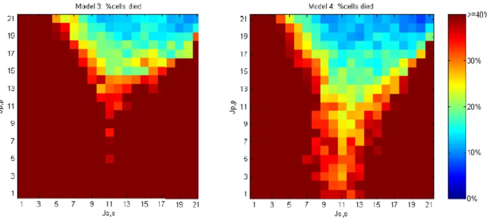 Figure 14 demonstrates that the morphodynamic Model 4is more robust to differences in homotypic cell adhesivestrength than the morphostatic Model 3