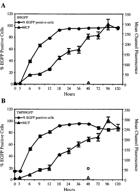 FIG. 4. Kinetics of HIV-1 reactivation following TNF-�then subjected to ﬂow-cytometric analysis at the indicated times (3 to120 h)