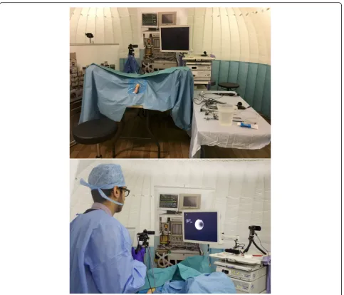 Fig. 1 View of ureteroscopy training in a virtual theater