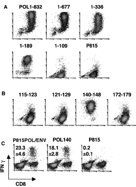 FIG. 4. Fine speciﬁcity of POL-speciﬁc CTL. (A) P815POL trun-cation series. The POL2 CTL clone was incubated with the indicated