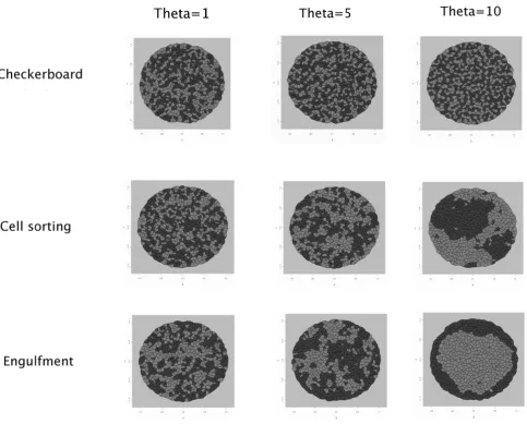 Figure 5Influence of  in simulationsInfluence of θ in simulations. Final configurations using three different values for θ