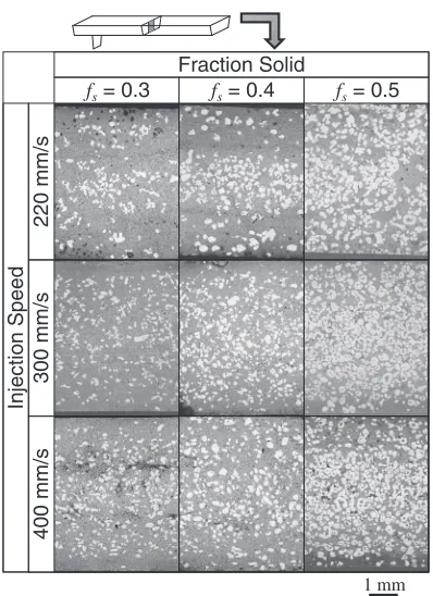 Fig. 9Distribution of solid particles in AZ91D injection-molded article. Fraction solid fs = 0.4.