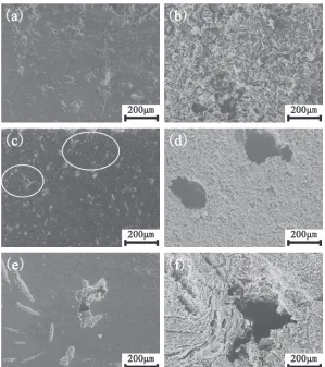Fig. 5Pore distribution of HSM-SC oxidized to about 15% weight loss, (a) Whole diameter range, (b) Partial.