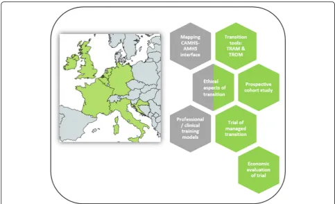 Fig. 1 Research projects within MILESTONE. Green hexagons: research involving the eight MILESTONE countries only