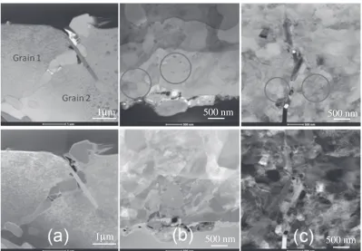 Fig. 1Optical micrographs of the samples showing their initial microstructure before the ECAP process: (a) Al­2Si (b) Al­2Si­4Sn and(c) Al­2Si­8Sn.