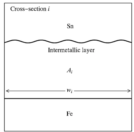Fig. 4Schematic microstructure of intermetallic layer on cross-section i.