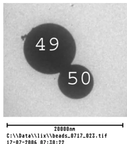 Table 1: Archival data used for calculation of mean brightness of high fluorescence signal control microspheres