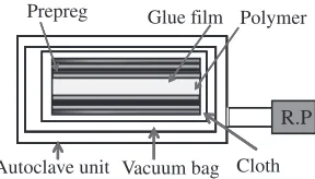 Fig. 1Structural formula of polycarbonate.