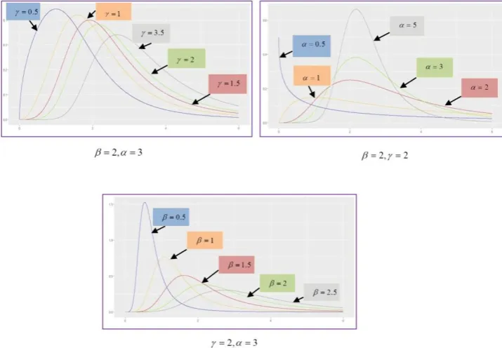 Figure 1. Different shapes of the Kappa density function for various parameter specifications 