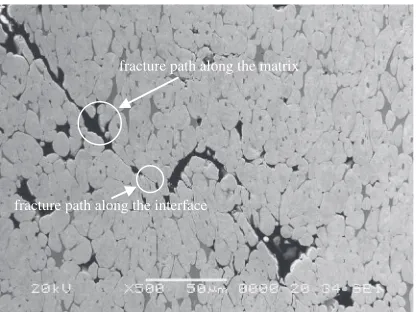 Fig. 10Fracture path of a specimen sintered by a two-stage sinteringpractice at 1743 K for 60 s.