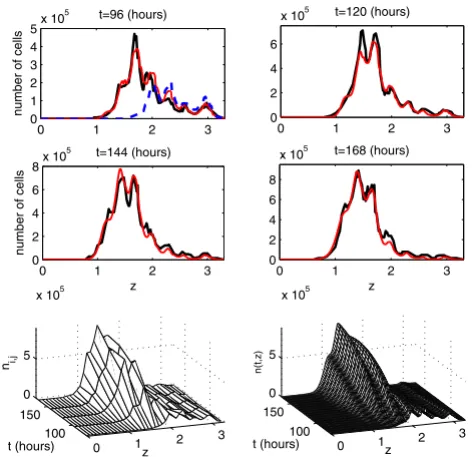 Figure 5sponding to the best-fit parameter estimatesThe experimental data set 1 and the model solution corre-The experimental data set 1 and the model solution corresponding to the best-fit parameter estimates