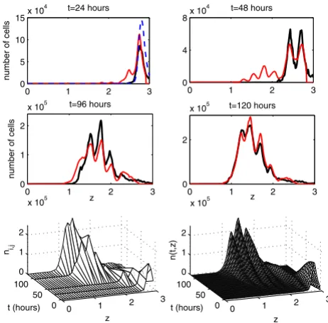 Figure 7sponding to the best-fit parameter estimatesThe experimental data set 2 and the model solution corre-The experimental data set 2 and the model solution corresponding to the best-fit parameter estimates