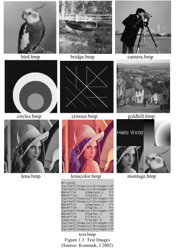 Figure 1.1: Test Images 