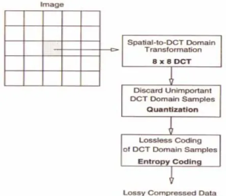 Figure 2.4: DCT basis 