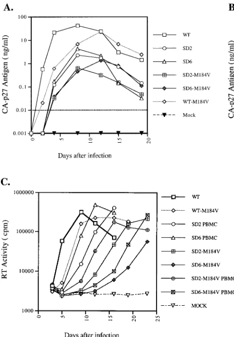 Figure 3A also shows that the T70I mutation in MA was