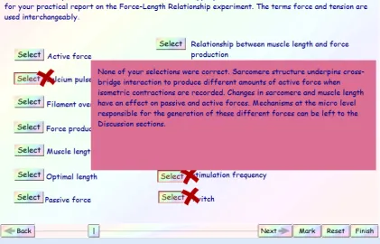 Figure 3. Screen example from Help with Understanding Content module.  