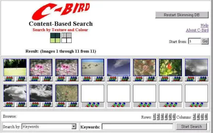 Fig 2.2: User interface of C-BIRD system 