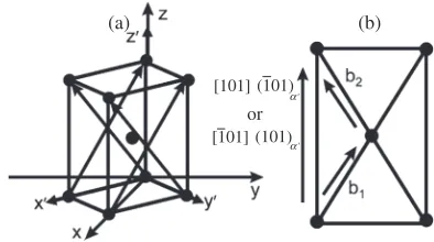Fig. 1Skeleton of plastic deformations along two slip systems, i.e.,½101�ð101�Þ¡0 and ½101��ð101Þ¡0