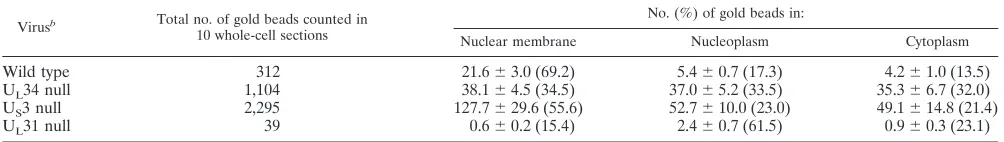 TABLE 1. Summary of the distribution of UL31 protein determined by immunogold analysis of thin sectionsa
