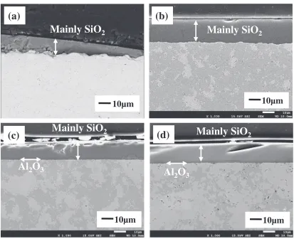Fig. 7Cross-sectional (a) BEI and (b), (c), (d) SEI micrographs of CrSi2 alloys with 0, 10, 20 and 30 mass% CoNiCrAlY content,respectively, corroded for 72 ks at 1273 K in an air­Na2SO4­NaCl gas atmosphere.