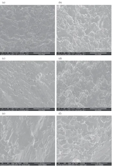 Fig. 6SEM images of fractures surfaces of specimens deformed at different temperatures and strain rates: (a) 300°C, 1000 s¹1; (b) 300°C,3200 s¹1; (c) 25°C, 1000 s¹1; (d) 25°C, 3200 s¹1; (e) ¹150°C, 1000 s¹1; and (f ) ¹150°C, 3200 s¹1.