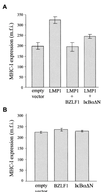FIG. 6. BZLF1 inhibits LMP1-mediated upregulation of MHCclass I expression. (A) Flow cytometric analysis of surface MHC class