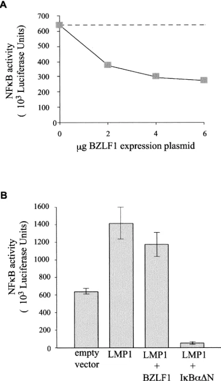 FIG. 7. Effect of BZLF1 on LMP1-mediated activation of NF-�reporter 3Enh-Luc together with either 4DNA, 4expression plasmid and a BZLF1 expression plasmid, or 4an LMP1 expression plasmid and an Iexactly as for Fig