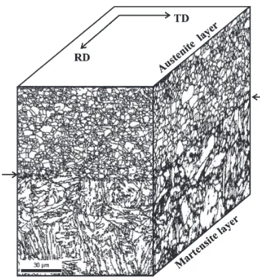 Fig. 6Grain boundary mapping with high angle misorientation (²15°) ofmartensite and austenite neighboring layers near the mid-thickness ofmultilayered multiphase steel composite, measured with the electronbackscattering diffraction technique, where the arrows denote the layerboundary between the austenite layer and the martensite layer.