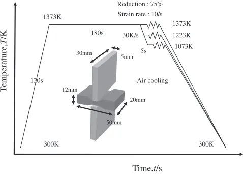 Fig. 1Thermomechanical compression pattern and plain strained piece.