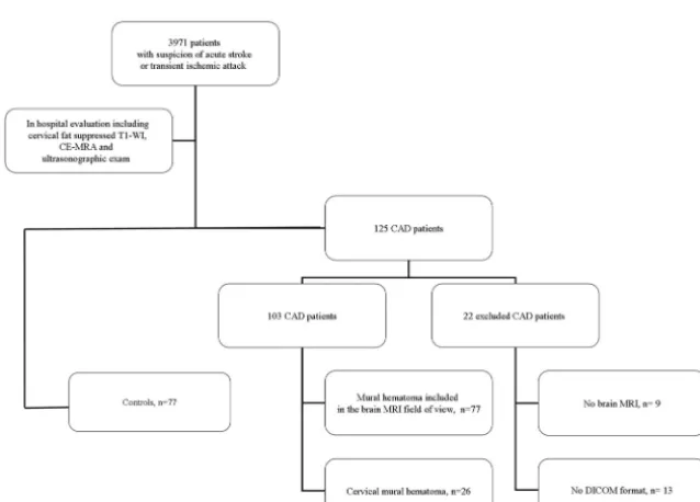 Table 1: Patient characteristics