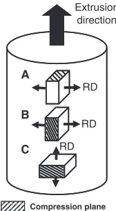 Fig. 3(0001) Pole ﬁgures showing the crystallographic characteristics of the specimens