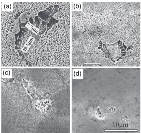 Fig. 1Dendrite morphology of three-dimensional graphics in the direc-tionally solidiﬁed Ni-based superalloy.