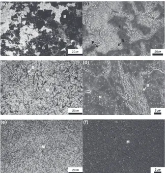 Fig. 9OM and SEM micrographs of the specimens cooled at different cooling rates after austenitization at 1173 K for 11 h: (a), (b)0.1 K·s¹1; (c), (d) 0.5 K·s¹1; (e), (f ) 3.0 K·s¹1.