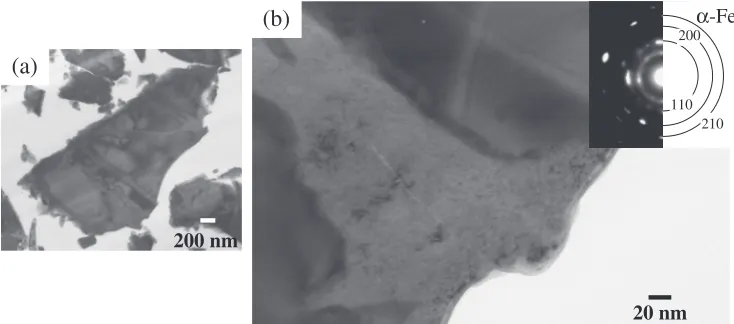 Fig. 6Enlarged images of surface of (a) source powder and (b) powder annealed at 673 K for 180 s