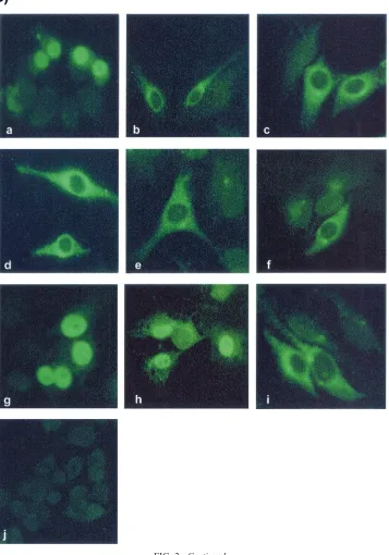 FIG. 2—Continued.