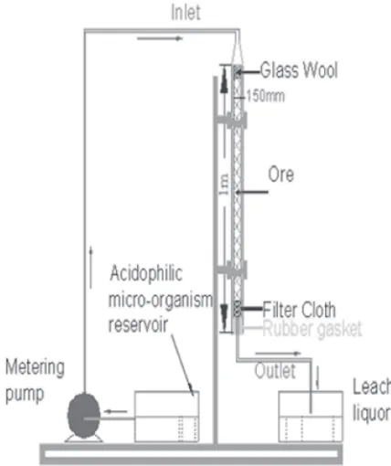 Fig. 3Schematic Diagram showing Column Bioleaching experiment.