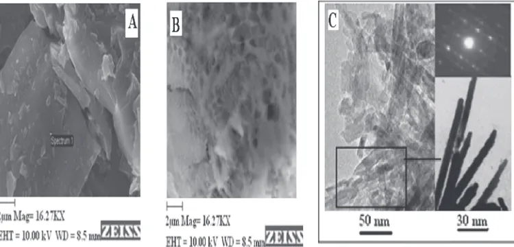 Fig. 6SEM images (A) showing smooth chalcopyrite surface before bioleaching, (B) showing several holes (2 µm) developed on thechalcopyrite surface