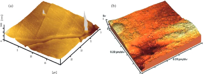 Fig. 12Surface roughness of stents after cutting using (a) ﬁber laser and (b) Nd:YAG lasers (Ref .1)).