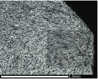 Figure 15: OM images of microstructure in the RCF band, (a) Region E1, and (b) Region E2