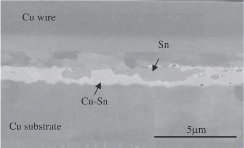 Fig. 2The cross-section result of SEM observation of the initial Cu wire/Sn plating/Cu substrate joint interface.
