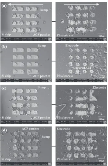 Fig. 6Fracture surfaces of the TC and TS (with 1 s of ultrasonic application time) COF assemblies