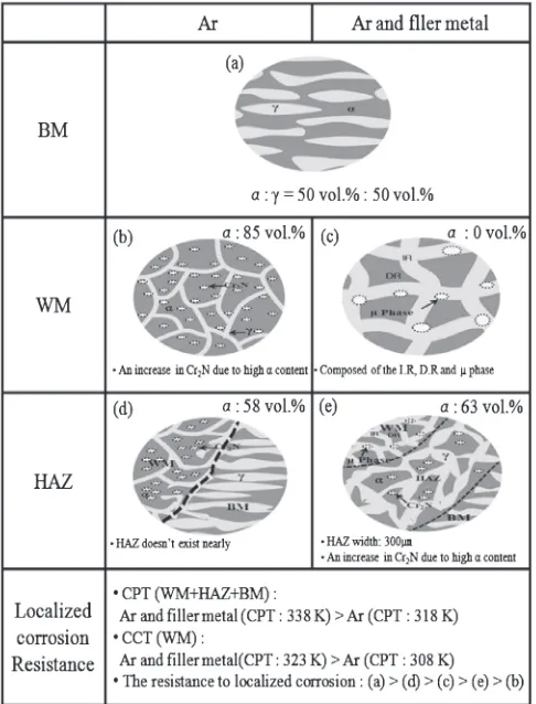 Fig. 13Schematic of the localized corrosion and phase transformation ofthe HDSS tube-to-tube sheet welds: (a) base metal (BM), (b) weld metal(WM) and (d) heat affected zone HAZ of the HDSS tube-to-tube sheetwelded using the Ar shielding gas without a ﬁller