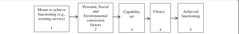 Fig. 1 Schematic representation of the links between existing services, a person’s capability set, and achieved functioning