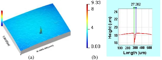 Figure 2: (a) Surface topography and defect on Al2O3 film (b) defect profile section 