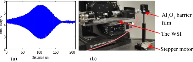 Figure 3: (a) The coherence envelop (b) The WSI along with auto-focus method 