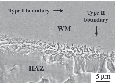 Fig. 9Micrograph showing Type II boundaries adjacent to the weldinterface of an Alloy 52-A508 weld.